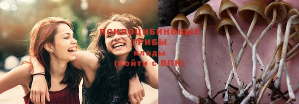 метадон Алексеевка